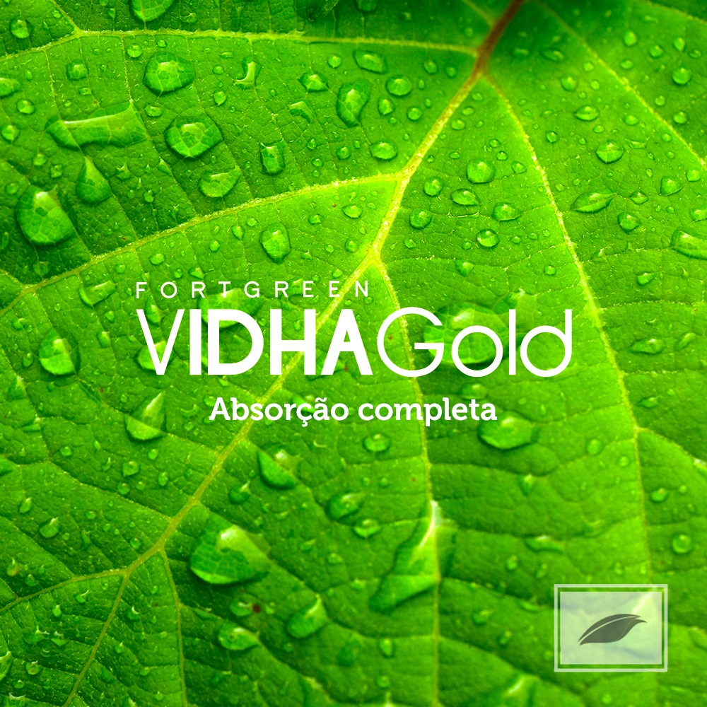 Vidha Gold